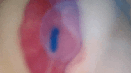 AVミニ名器 美園和花の内部カメラ