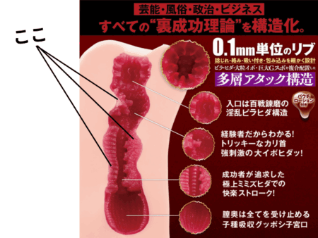 「Z李×枕営業成功者100人」体験調査データから生まれた伝説名器をリアル再現は突起が深く食いこむ