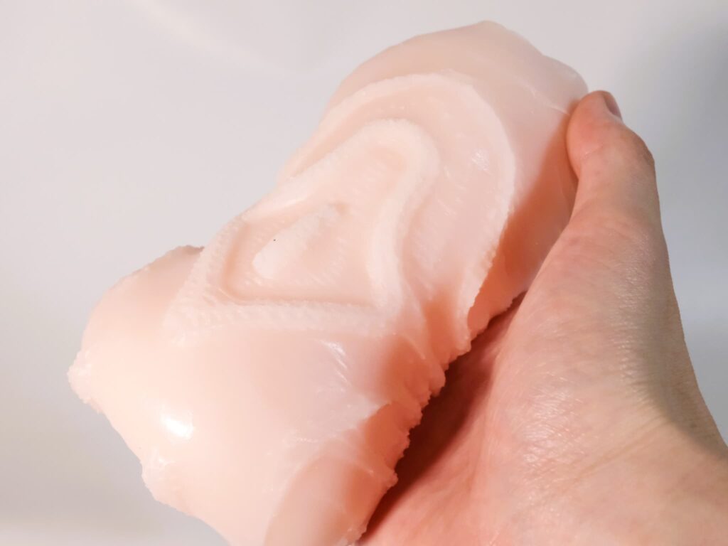 感触標本 Tsutsumiの内部突起2