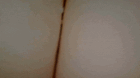 HON-MONO 極生の内部カメラ