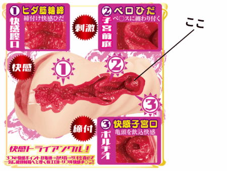 AVミニ名器 美園和花の子宮口