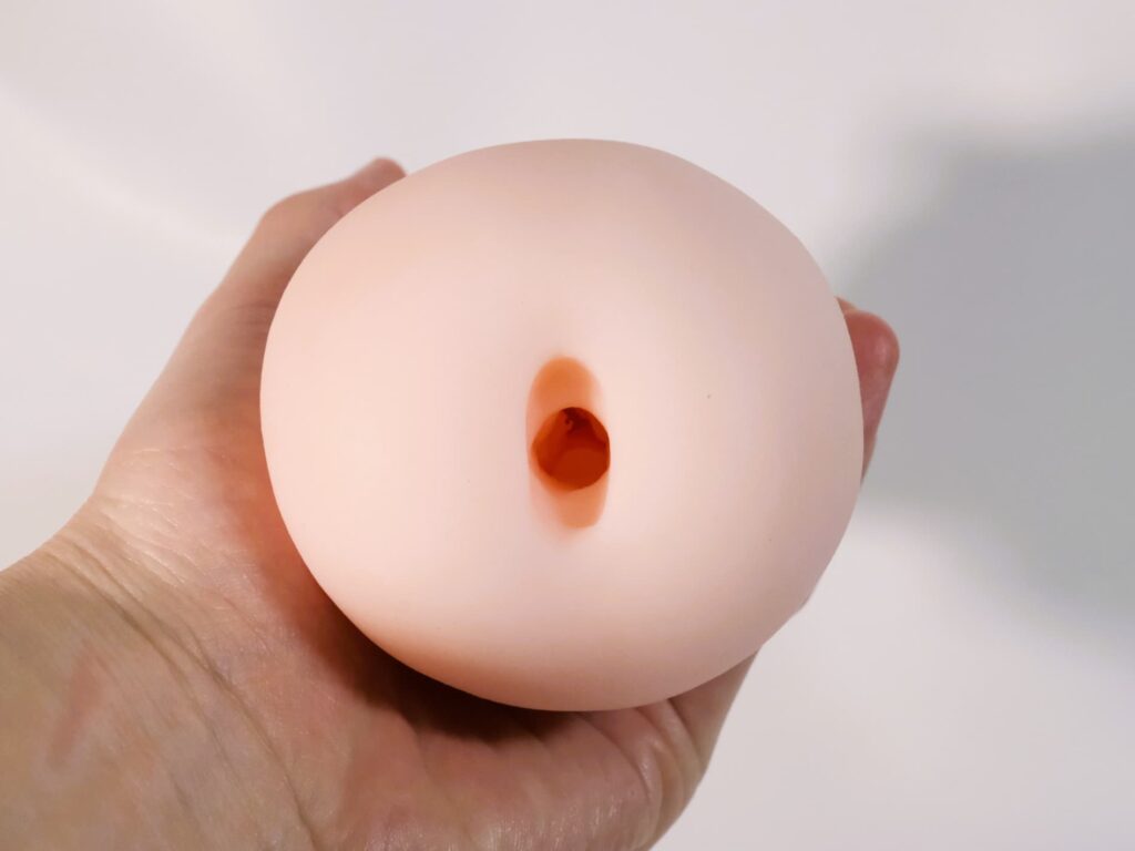 感触標本 Nejireの挿入口