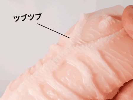 感触標本 Tsutsumiの小イボ