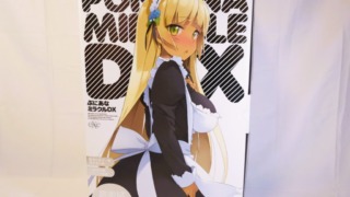 ぷにあなミラクルDXのパッケージ