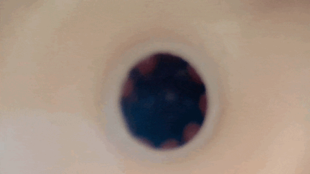 「Z李×枕営業成功者100人」体験調査データから生まれた伝説名器をリアル再現の内部カメラ