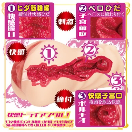 AVミニ名器 美園和花の内部構造