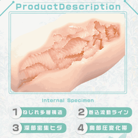 感触標本 Nejireの内部構造