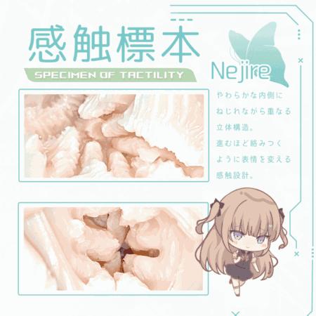 感触標本 Nejireの内部構造