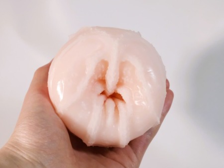 感触標本 Tsutsumiの半裏返し