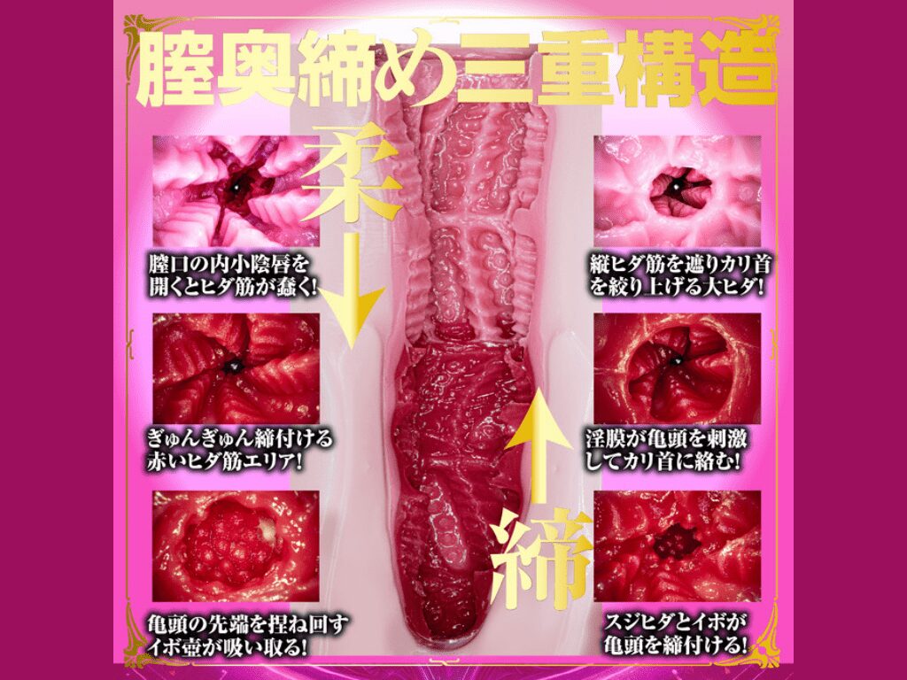 あたシコ サキュバス 松本いちかの内部構造