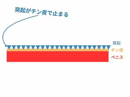 びら盛りブルーミングの突起はフェザータッチ