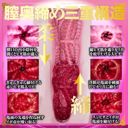 あたシコ サキュバス 松本いちかの内部構造