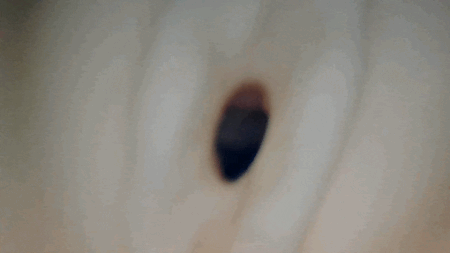 雌猫サーヴァントの内部カメラ