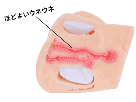 艶めき名器のマンコ穴は無次元構造