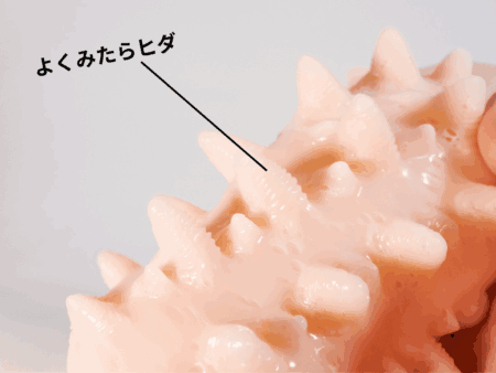 連続のどちんこほ～る3の突起表面にヒダ