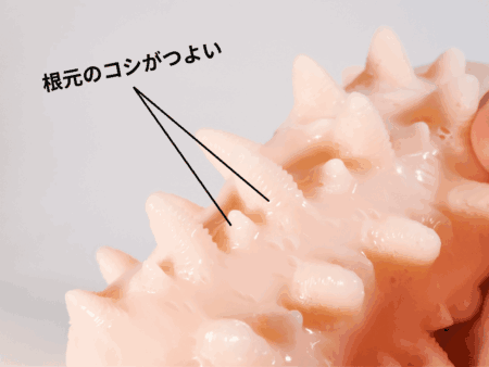 連続のどちんこほ～る3はベロ根元の反発力がつよい