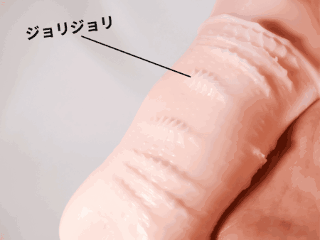 ハチロク レイルロオド連結器の肉ヒダにはヒダが敷かれている