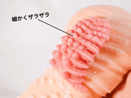 AIV―アイヴ― NO.17のベロのザラザラ