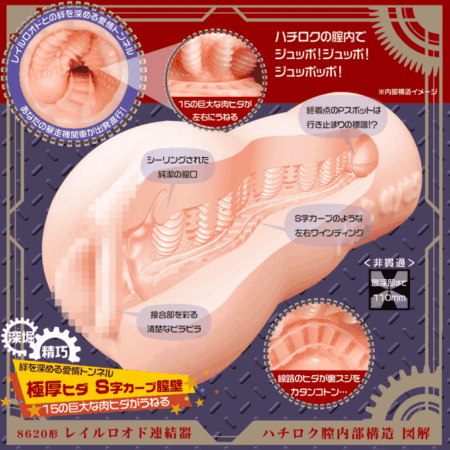 ハチロク レイルロオド連結器の内部構造