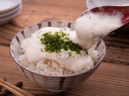 とろろごはん
