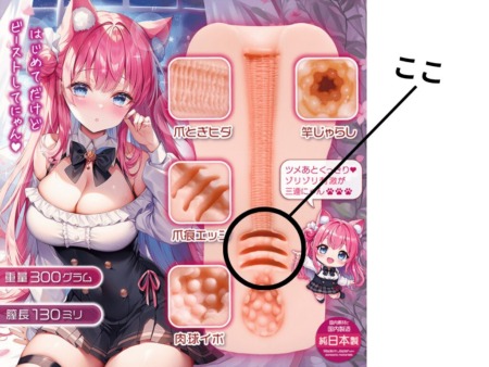 ゴロにゃん淫ぱるす！の溝ヒダ