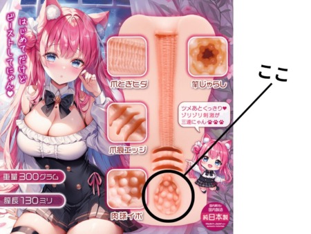 ゴロにゃん淫ぱるす！の子宮イボ