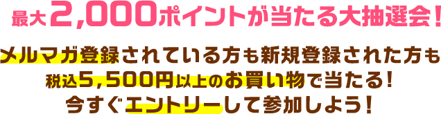 FANZAキャンペーン
