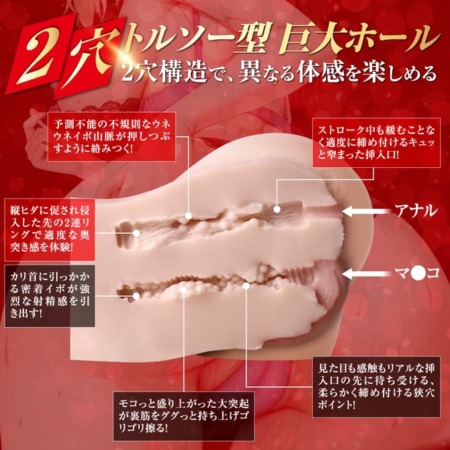 ツインホール パーフェクトヒップの内部構造