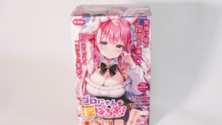 ゴロにゃん淫ぱるす！のパッケージ