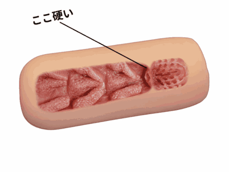 むち圧パコひだ！！ギャルる～んの子宮口は硬い