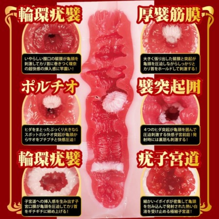 名器の証明 16 特別版 瀬戸環奈の内部構造