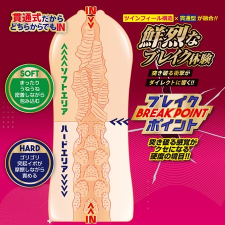 ツインフィニティ ブレイク リズの内部構造