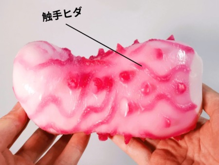 侵蝕の肉壺の触手ヒダ