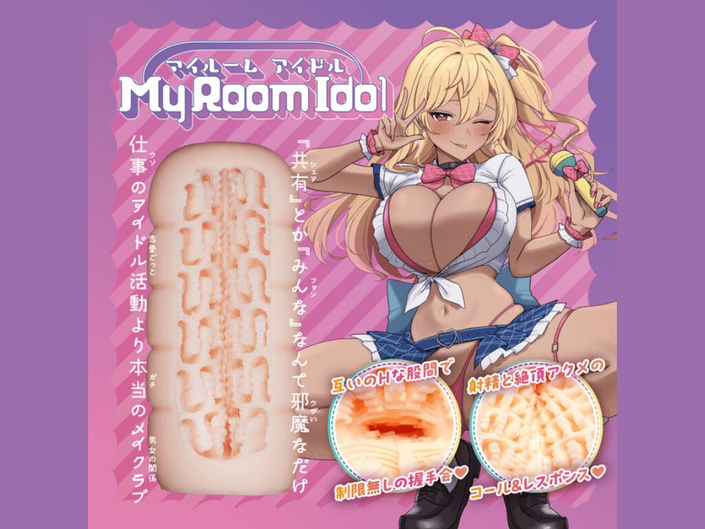 My Room Idol(マイルームアイドル)の内部構造