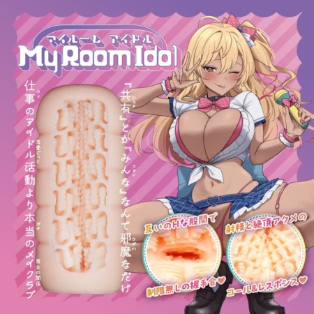 My Room Idol(マイルームアイドル)の内部構造