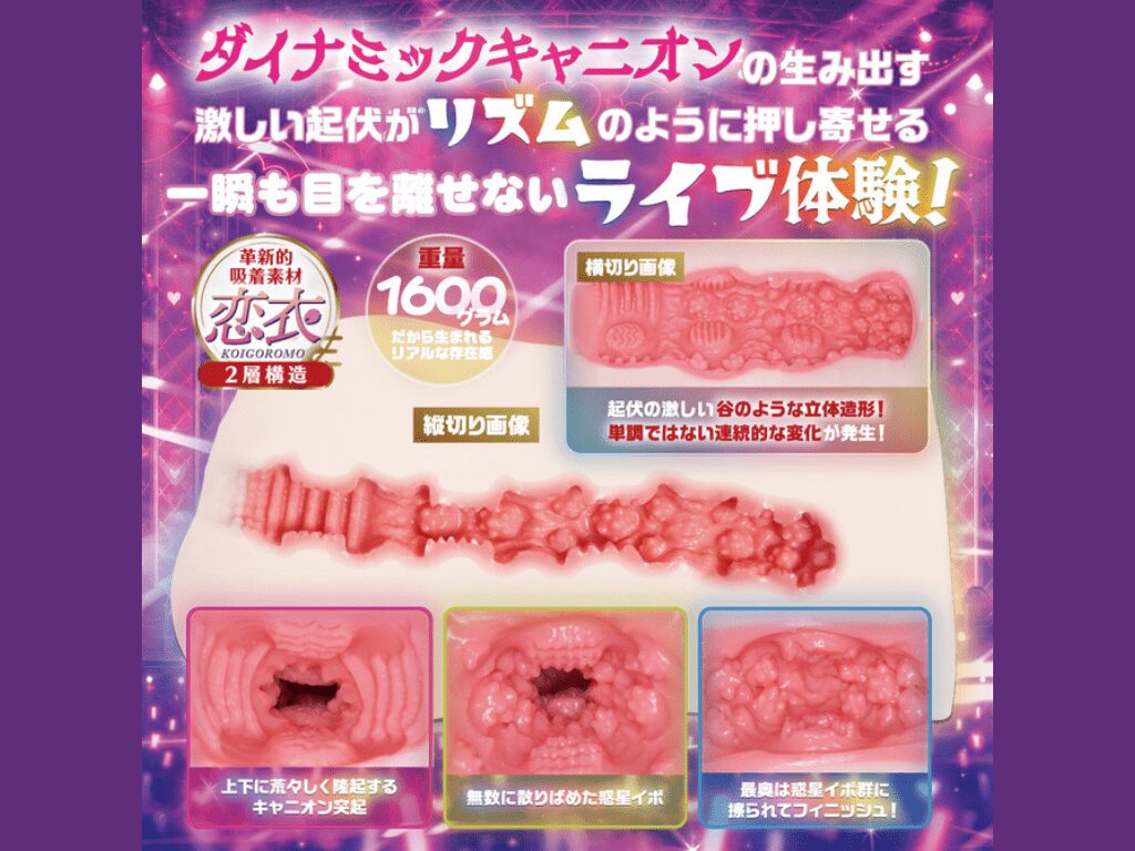 小悪魔アイドル黒咲あくり ダイナミックキャニオンライブの内部構造