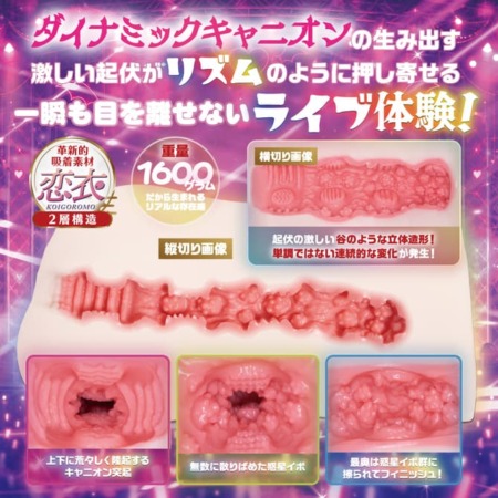 小悪魔アイドル黒咲あくり ダイナミックキャニオンライブの内部構造