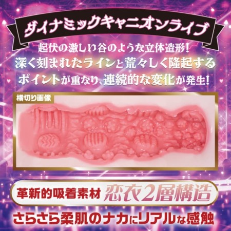 小悪魔アイドル黒咲あくり ダイナミックキャニオンライブの内部構造