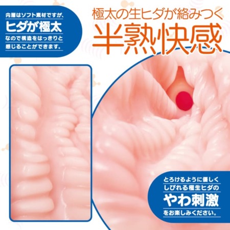 次世代HOLE 極ヒダばーじん 人工皮膚の内部構造