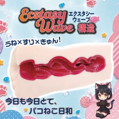 すりすりパコねこの内部構造