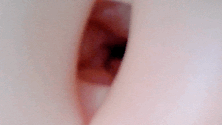 次世代HOLE 極ヒダばーじん 人工皮膚の内部カメラ